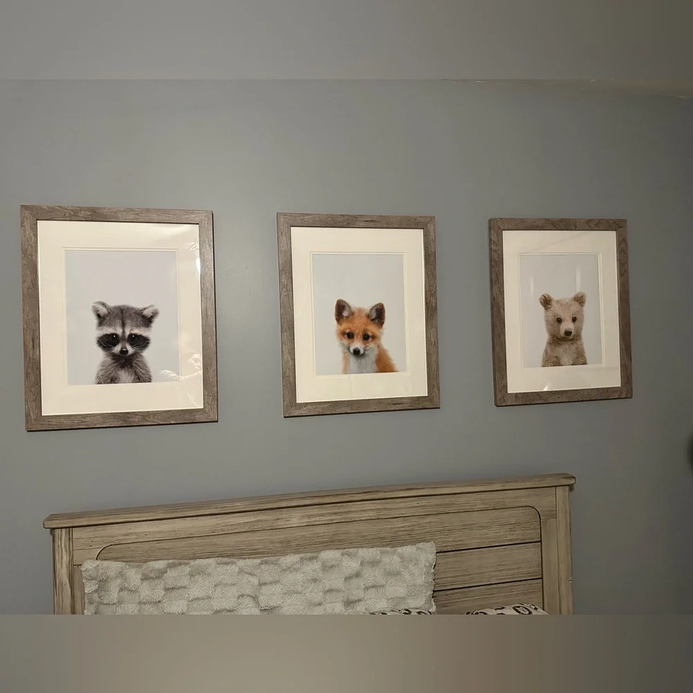 Crown prints animal pictures - Picture 8 of 9